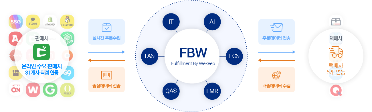 fbw